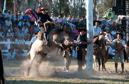 Break in a wild horse - Tacuarembo - URUGUAY. Photo #39857