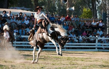 Taming a horse - Tacuarembo - URUGUAY. Photo #39855