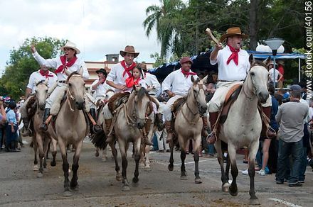 Caballos blancos - Departamento de Tacuarembó - URUGUAY. Foto No. 40156
