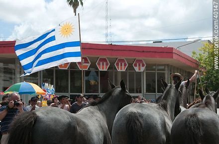 Caballos negros y bandera uruguaya - Departamento de Tacuarembó - URUGUAY. Foto No. 40147