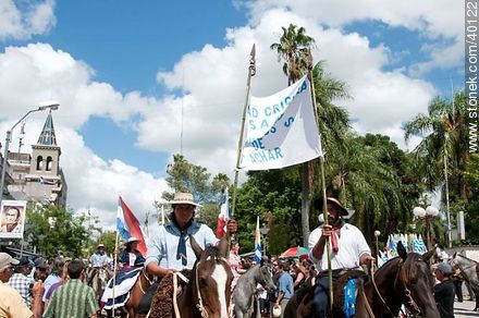 Standard-bearers - Tacuarembo - URUGUAY. Photo #40122