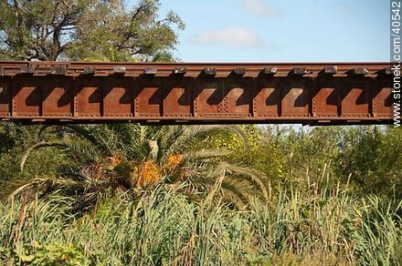 Puente ferroviario metálico - Departamento de Tacuarembó - URUGUAY. Foto No. 40542