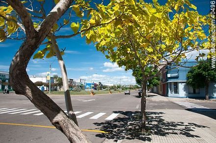 Bulevar Artigas - Departamento de Tacuarembó - URUGUAY. Foto No. 40496
