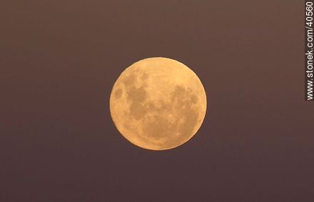 La luna llena más grande vista en 20 años. - Departamento de Montevideo - URUGUAY. Foto No. 40560