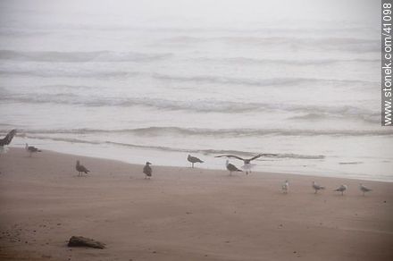Fog on the beach - Punta del Este and its near resorts - URUGUAY. Photo #41098
