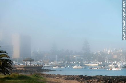 Fog in the Harbour. - Punta del Este and its near resorts - URUGUAY. Photo #41083