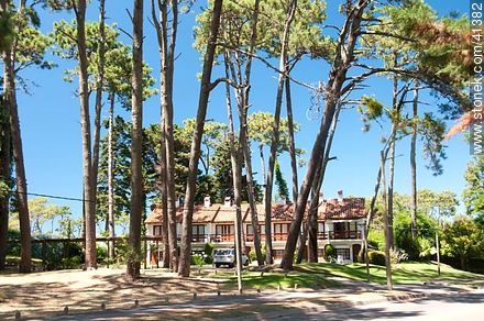 Apart hotel at Pedragosa Sierra Ave. - Punta del Este and its near resorts - URUGUAY. Photo #41382