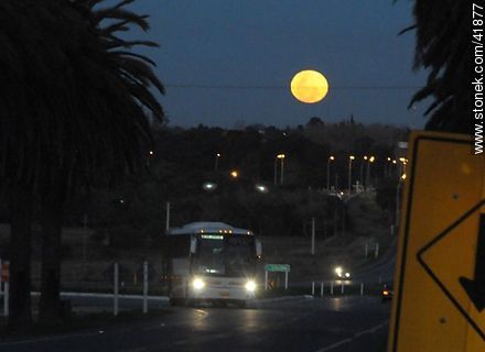 Luna llena en Ruta 1 - Departamento de Colonia - URUGUAY. Foto No. 41877