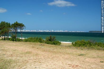 Parada 33 de Playa Mansa - Punta del Este y balnearios cercanos - URUGUAY. Foto No. 42258