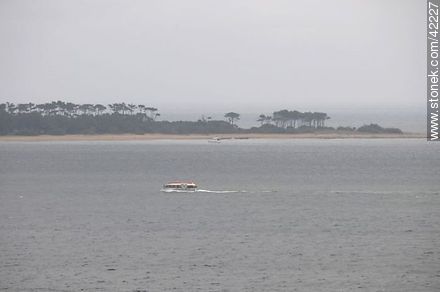 Transporte de pasajeros desde un crucero e isla Gorriti - Punta del Este y balnearios cercanos - URUGUAY. Foto No. 42227