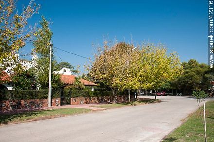 Calle Arq. Américo Ilaria. - Departamento de Montevideo - URUGUAY. Foto No. 42316