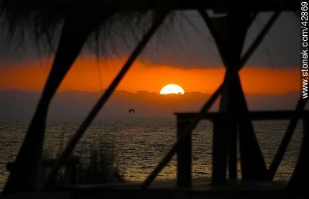 Sunset at sea. - Department of Maldonado - URUGUAY. Photo #42869