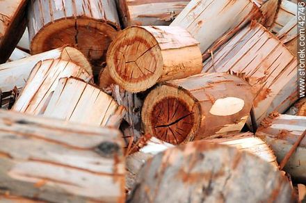 Wood logs. -  - MORE IMAGES. Photo #42746