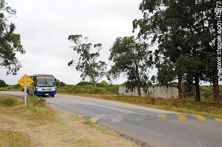 Bus to Punta del Este. Route 10. - Department of Maldonado - URUGUAY. Photo #42673