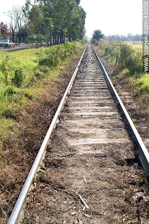 Vía férrea en línea recta - Departamento de Montevideo - URUGUAY. Foto No. 43050