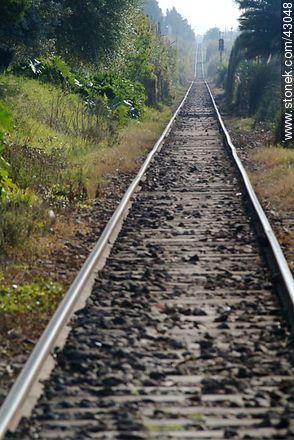 Straight railway. - Department of Montevideo - URUGUAY. Photo #43048