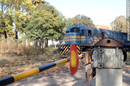 Locomotora en Peñarol - Departamento de Montevideo - URUGUAY. Foto No. 43107