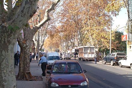 Bvar. Aparicio Saravia - Departamento de Montevideo - URUGUAY. Foto No. 43125