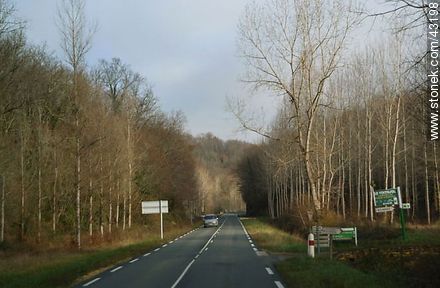 D47 route east. - Region of Aquitaine - FRANCE. Photo #43198