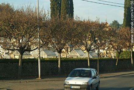 Cementerio de Sarlat-la-Canéda.  - Aquitania - FRANCIA. Foto No. 43150