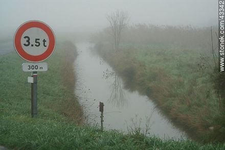 Canal en la niebla - Región de Poitou-Charentes - FRANCIA. Foto No. 43342