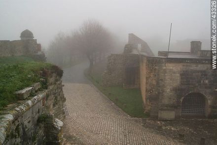 Citadel of Brouage - Region of Poitou-Charentes - FRANCE. Photo #43326
