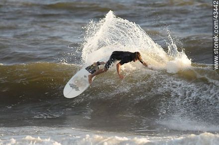 Surfer surcando las olas. - Departamento de Maldonado - URUGUAY. Foto No. 43442