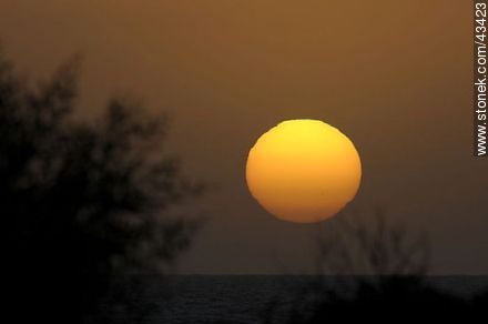 Sol gigante del atardecer - Departamento de Maldonado - URUGUAY. Foto No. 43423