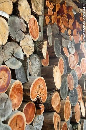 Wood logs -  - MORE IMAGES. Photo #44786