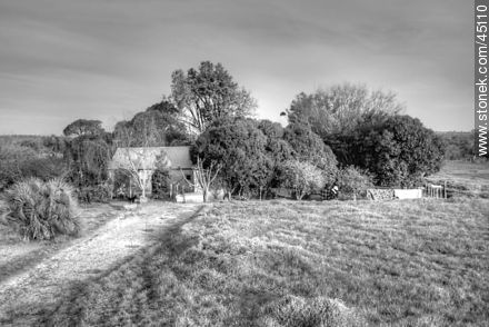 Rural house. -  - MORE IMAGES. Photo #45110