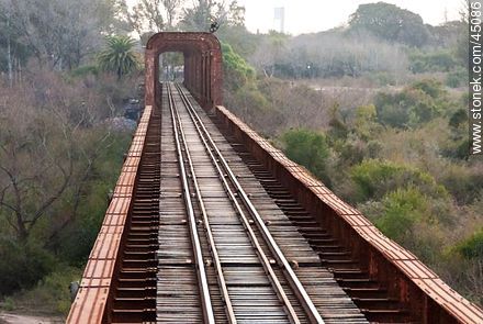 Puente ferroviario sobre el río Santa Lucía. - Departamento de Montevideo - URUGUAY. Foto No. 45086
