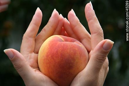 Peach -  - MORE IMAGES. Photo #45289