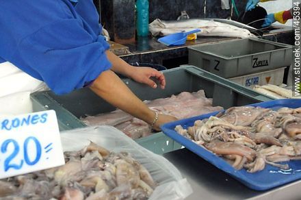 Fish market. - Department of Montevideo - URUGUAY. Photo #45394