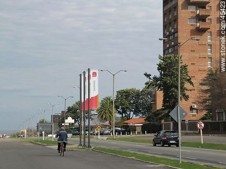 Avenida Franklin Roosevelt - Departamento de Colonia - URUGUAY. Foto No. 45423