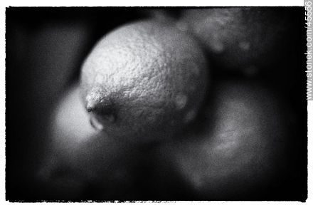 Lemons -  - MORE IMAGES. Photo #45556