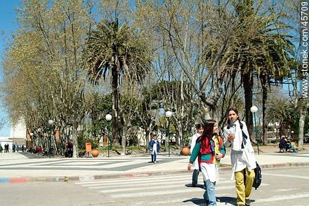 Crosswalk to the school - Department of Canelones - URUGUAY. Photo #45709