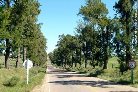 Route 7. - Department of Canelones - URUGUAY. Photo #45693
