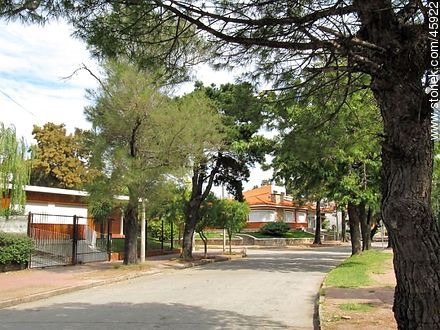 Calle Dr. Turenne - Departamento de Montevideo - URUGUAY. Foto No. 45922