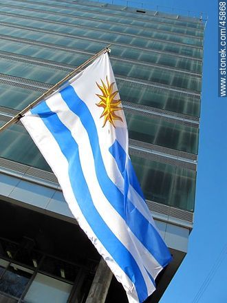 Bandera uruguaya frente a una torre vidriada - Departamento de Montevideo - URUGUAY. Foto No. 45868