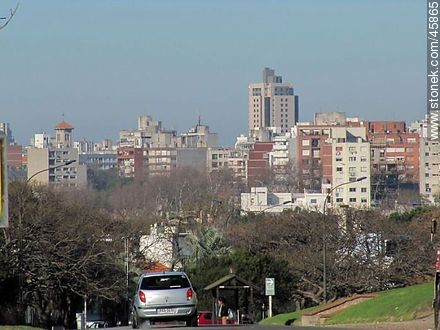 View from Ricaldoni Ave. - Department of Montevideo - URUGUAY. Photo #45865