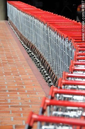 Row of shopping carts -  - MORE IMAGES. Photo #45937