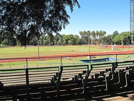 Pista de Atletismo Darwin Piñeirúa en el Parque Batlle - Departamento de Montevideo - URUGUAY. Foto No. 46091
