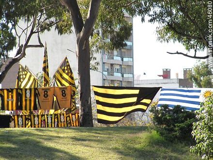 Flags of Peñarol - Department of Montevideo - URUGUAY. Photo #46080