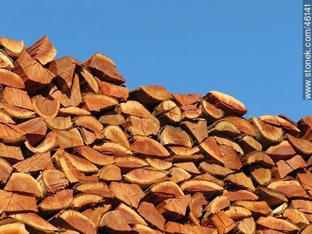 Stacked firewood. -  - MORE IMAGES. Photo #46141