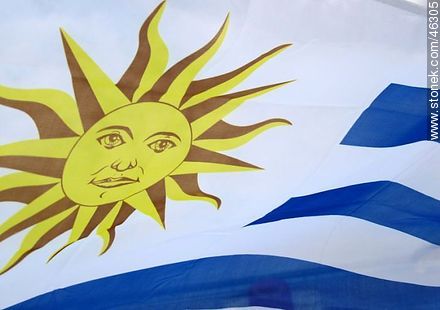Uruguayan flag -  - MORE IMAGES. Photo #46305