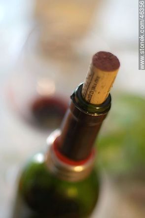 Corcho en botella de vino -  - IMÁGENES VARIAS. Foto No. 46356