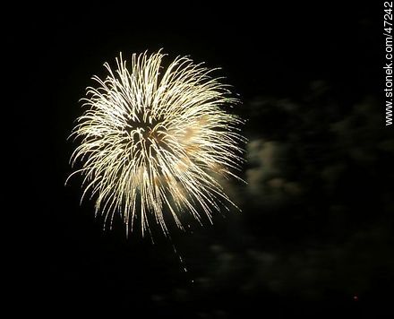 Fireworks -  - MORE IMAGES. Photo #47242