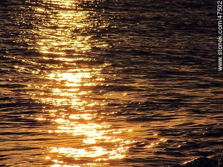 Rompiente en la orilla a la puesta del sol - Departamento de Maldonado - URUGUAY. Foto No. 47502