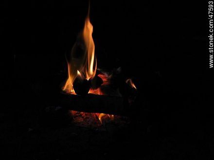 Fuego de parrilla -  - IMÁGENES VARIAS. Foto No. 47593