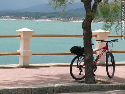 Bicicleta a la sombra - Departamento de Maldonado - URUGUAY. Foto No. 47681